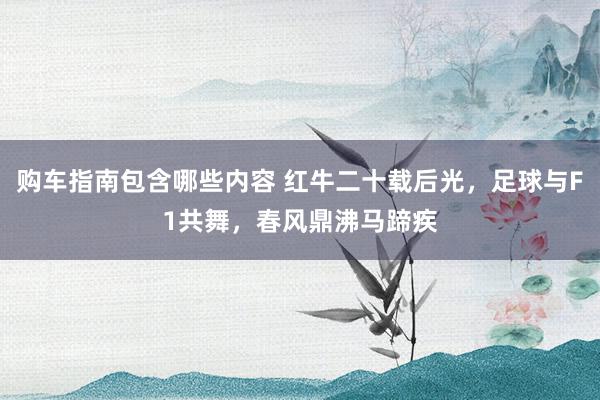 购车指南包含哪些内容 红牛二十载后光，足球与F1共舞，春风鼎沸马蹄疾