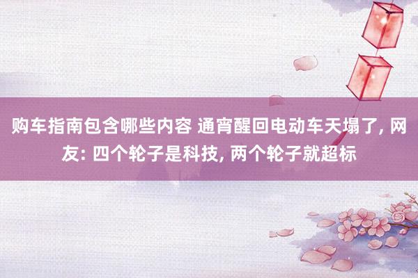 购车指南包含哪些内容 通宵醒回电动车天塌了, 网友: 四个轮子是科技, 两个轮子就超标