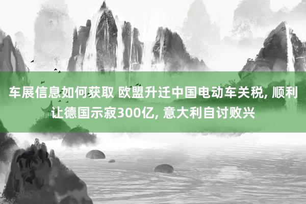 车展信息如何获取 欧盟升迁中国电动车关税, 顺利让德国示寂300亿, 意大利自讨败兴