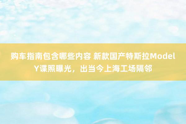 购车指南包含哪些内容 新款国产特斯拉ModelY谍照曝光，出当今上海工场隔邻