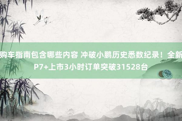 购车指南包含哪些内容 冲破小鹏历史悉数纪录！全新P7+上市3小时订单突破31528台