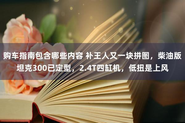 购车指南包含哪些内容 补王人又一块拼图，柴油版坦克300已定型，2.4T四缸机，低扭是上风