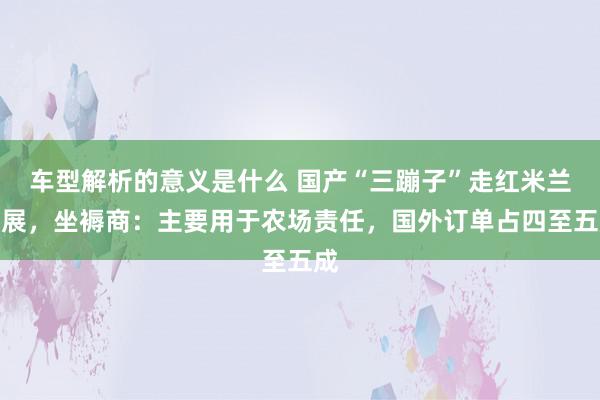 车型解析的意义是什么 国产“三蹦子”走红米兰车展，坐褥商：主要用于农场责任，国外订单占四至五成