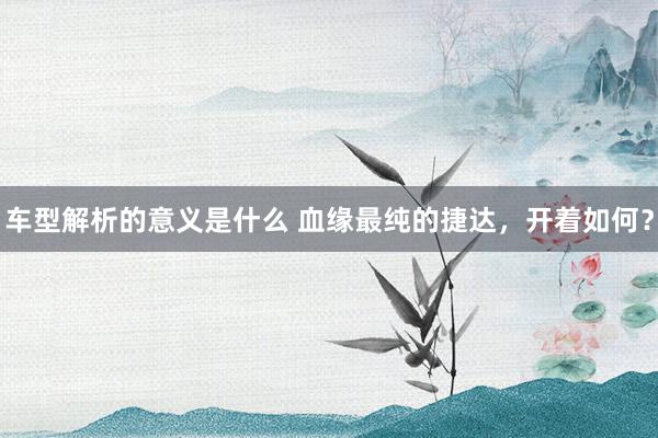 车型解析的意义是什么 血缘最纯的捷达，开着如何？