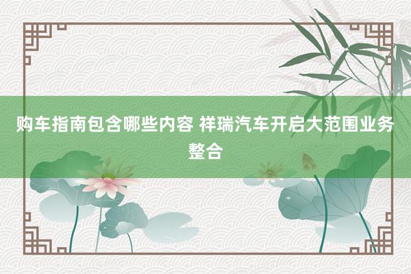 购车指南包含哪些内容 祥瑞汽车开启大范围业务整合