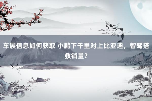 车展信息如何获取 小鹏下千里对上比亚迪，智驾搭救销量？