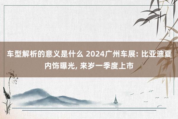 车型解析的意义是什么 2024广州车展: 比亚迪夏内饰曝光, 来岁一季度上市