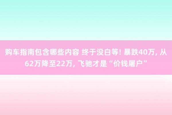 购车指南包含哪些内容 终于没白等! 暴跌40万, 从62万降至22万, 飞驰才是“价钱屠户”