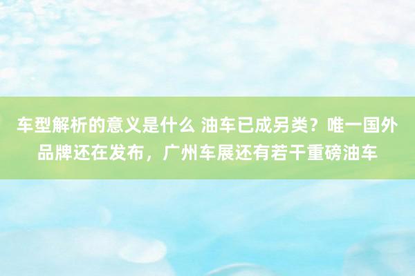 车型解析的意义是什么 油车已成另类？唯一国外品牌还在发布，广州车展还有若干重磅油车