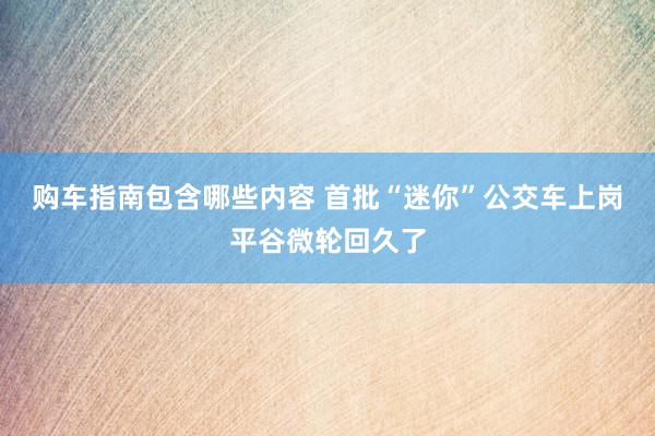 购车指南包含哪些内容 首批“迷你”公交车上岗平谷微轮回久了