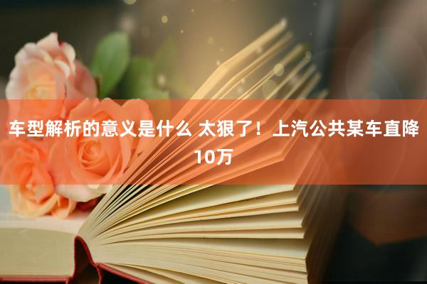 车型解析的意义是什么 太狠了！上汽公共某车直降10万