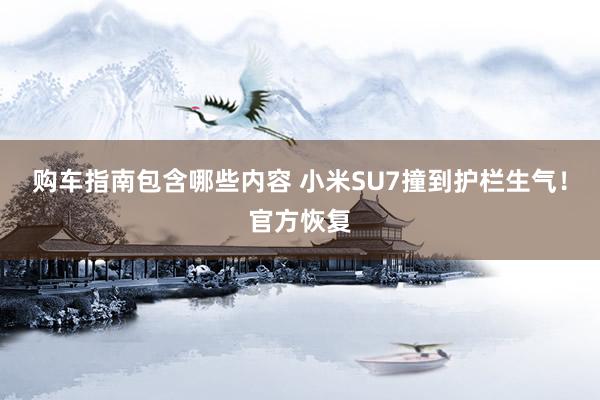 购车指南包含哪些内容 小米SU7撞到护栏生气！官方恢复