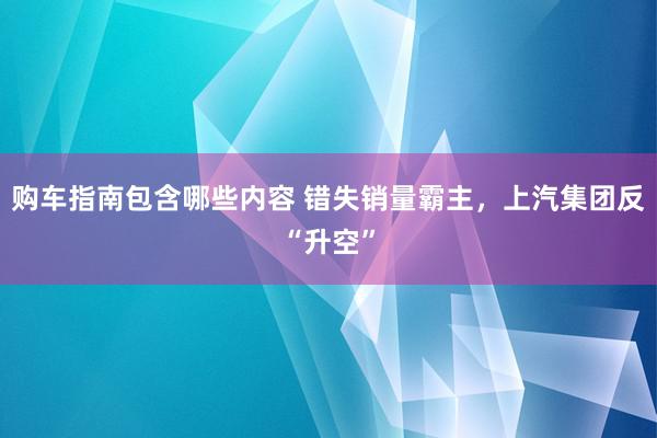 购车指南包含哪些内容 错失销量霸主，上汽集团反“升空”