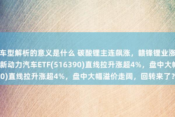 车型解析的意义是什么 碳酸锂主连飙涨，赣锋锂业涨停、宁德期间涨3%，新动力汽车ETF(516390)直线拉升涨超4%，盘中大幅溢价走阔，回转来了？