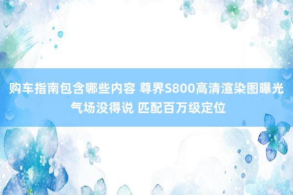 购车指南包含哪些内容 尊界S800高清渲染图曝光 气场没得说 匹配百万级定位