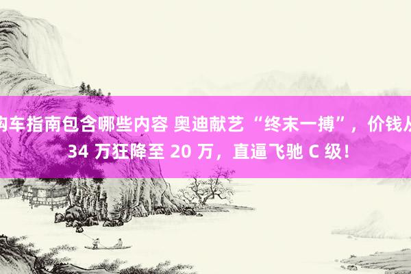 购车指南包含哪些内容 奥迪献艺 “终末一搏”，价钱从 34 万狂降至 20 万，直逼飞驰 C 级！