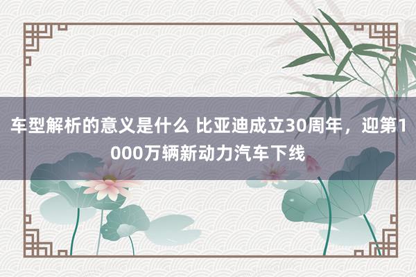 车型解析的意义是什么 比亚迪成立30周年，迎第1000万辆新动力汽车下线