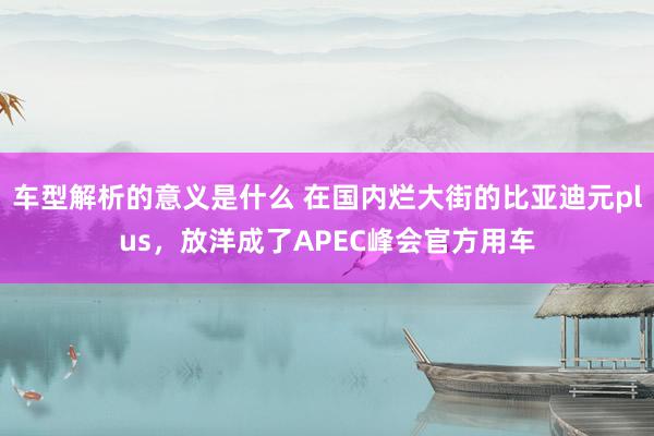 车型解析的意义是什么 在国内烂大街的比亚迪元plus，放洋成了APEC峰会官方用车