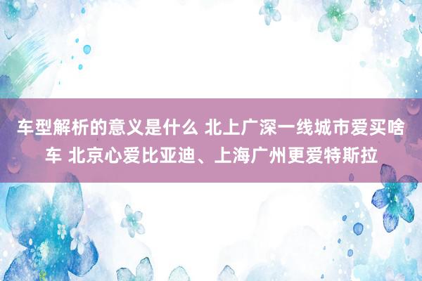 车型解析的意义是什么 北上广深一线城市爱买啥车 北京心爱比亚迪、上海广州更爱特斯拉