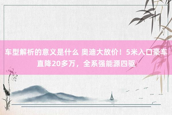 车型解析的意义是什么 奥迪大放价！5米入口豪车直降20多万，全系强能源四驱