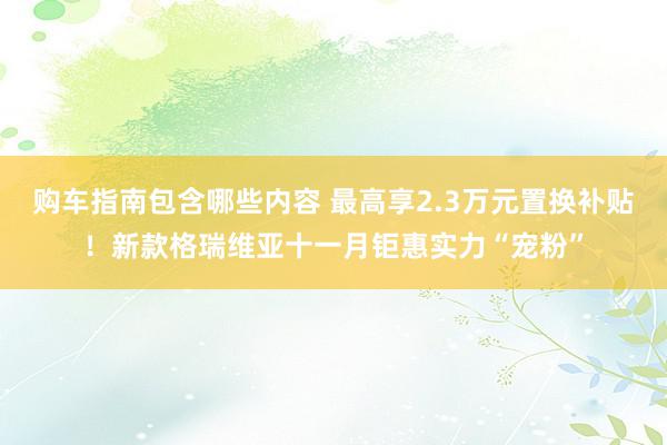 购车指南包含哪些内容 最高享2.3万元置换补贴！新款格瑞维亚十一月钜惠实力“宠粉”