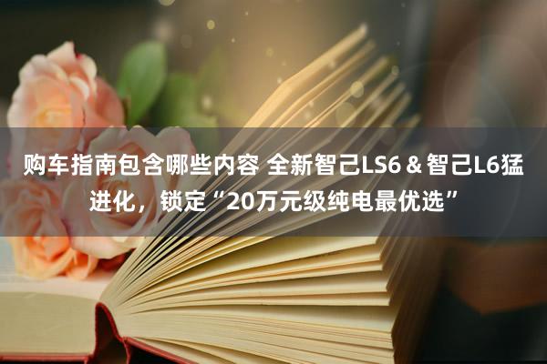 购车指南包含哪些内容 全新智己LS6＆智己L6猛进化，锁定“20万元级纯电最优选”