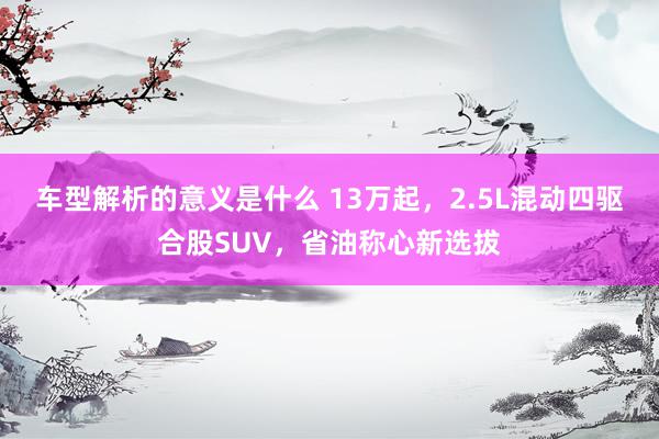 车型解析的意义是什么 13万起，2.5L混动四驱合股SUV，省油称心新选拔