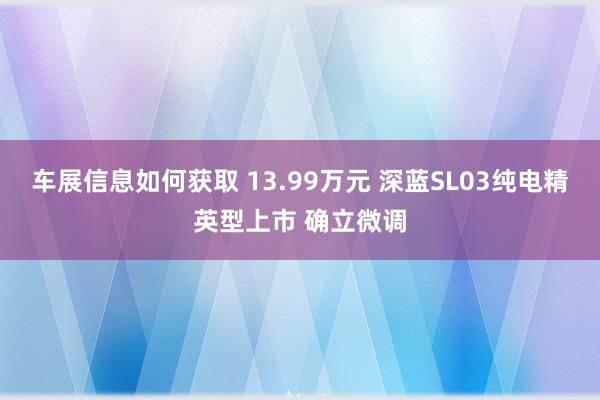 车展信息如何获取 13.99万元 深蓝SL03纯电精英型上市 确立微调