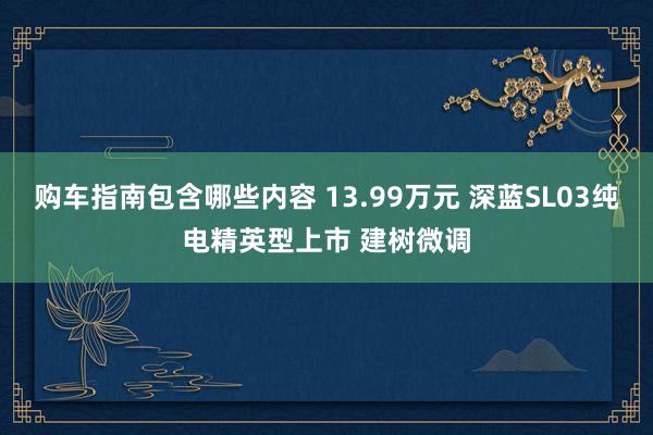 购车指南包含哪些内容 13.99万元 深蓝SL03纯电精英型上市 建树微调