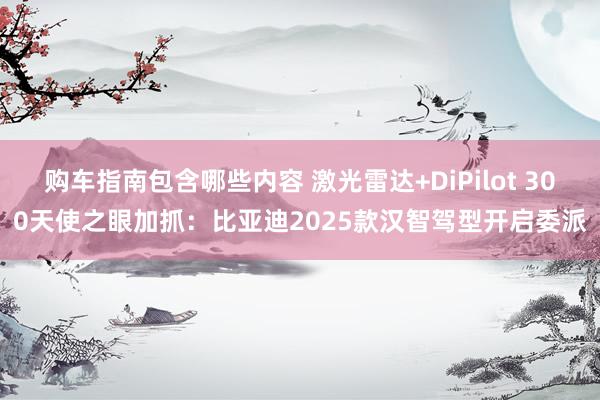 购车指南包含哪些内容 激光雷达+DiPilot 300天使之眼加抓：比亚迪2025款汉智驾型开启委派