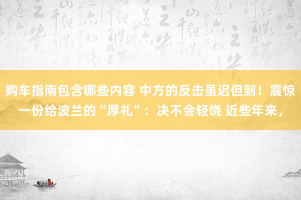 购车指南包含哪些内容 中方的反击虽迟但到！震惊一份给波兰的“厚礼”：决不会轻饶 近些年来，