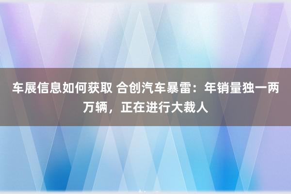 车展信息如何获取 合创汽车暴雷：年销量独一两万辆，正在进行大裁人