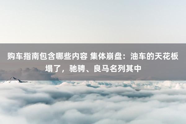 购车指南包含哪些内容 集体崩盘：油车的天花板塌了，驰骋、良马名列其中