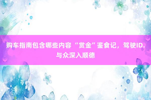 购车指南包含哪些内容 “赏金”鉴食记，驾驶ID.与众深入顺德