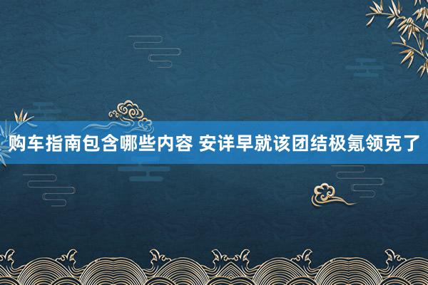 购车指南包含哪些内容 安详早就该团结极氪领克了