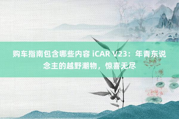 购车指南包含哪些内容 iCAR V23：年青东说念主的越野潮物，惊喜无尽