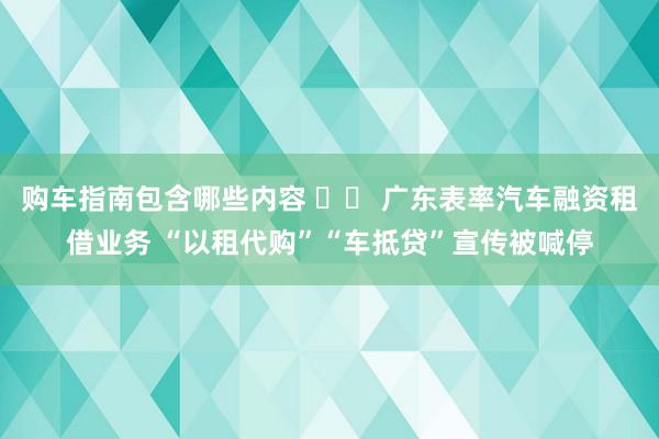 购车指南包含哪些内容 		 广东表率汽车融资租借业务 “以租代购”“车抵贷”宣传被喊停