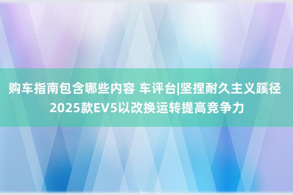 购车指南包含哪些内容 车评台|坚捏耐久主义蹊径 2025款EV5以改换运转提高竞争力