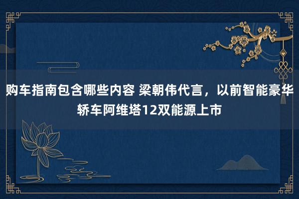 购车指南包含哪些内容 梁朝伟代言，以前智能豪华轿车阿维塔12双能源上市