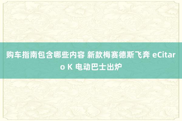 购车指南包含哪些内容 新款梅赛德斯飞奔 eCitaro K 电动巴士出炉