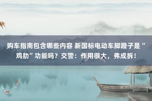 购车指南包含哪些内容 新国标电动车脚蹬子是“鸡肋”功能吗？交警：作用很大，弗成拆！