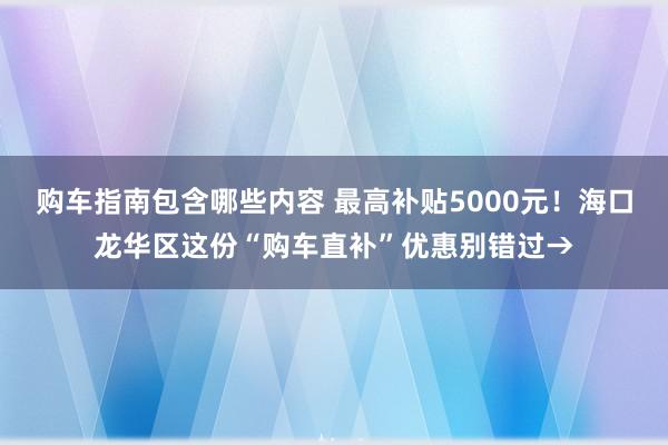 购车指南包含哪些内容 最高补贴5000元！海口龙华区这份“购车直补”优惠别错过→