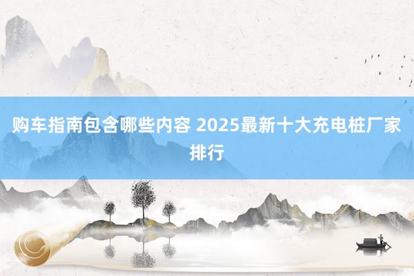 购车指南包含哪些内容 2025最新十大充电桩厂家排行