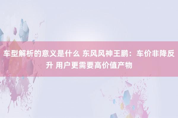 车型解析的意义是什么 东风风神王鹏：车价非降反升 用户更需要高价值产物