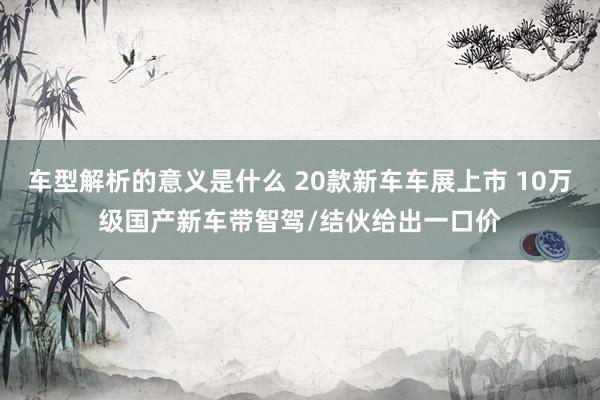 车型解析的意义是什么 20款新车车展上市 10万级国产新车带智驾/结伙给出一口价