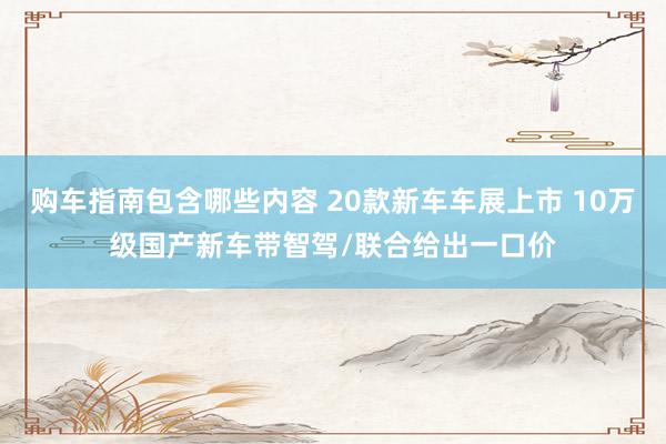 购车指南包含哪些内容 20款新车车展上市 10万级国产新车带智驾/联合给出一口价