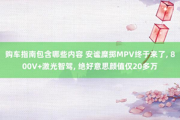 购车指南包含哪些内容 安谧糜掷MPV终于来了, 800V+激光智驾, 绝好意思颜值仅20多万