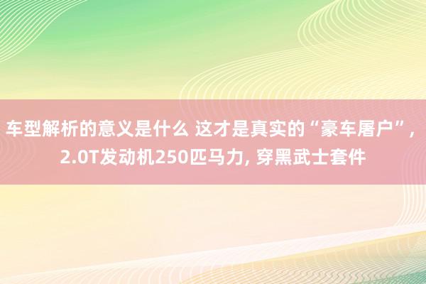 车型解析的意义是什么 这才是真实的“豪车屠户”, 2.0T发动机250匹马力, 穿黑武士套件