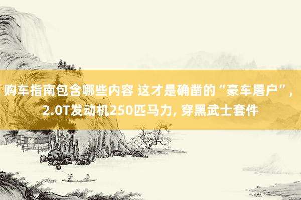 购车指南包含哪些内容 这才是确凿的“豪车屠户”, 2.0T发动机250匹马力, 穿黑武士套件