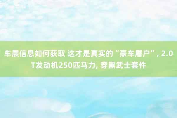 车展信息如何获取 这才是真实的“豪车屠户”, 2.0T发动机250匹马力, 穿黑武士套件